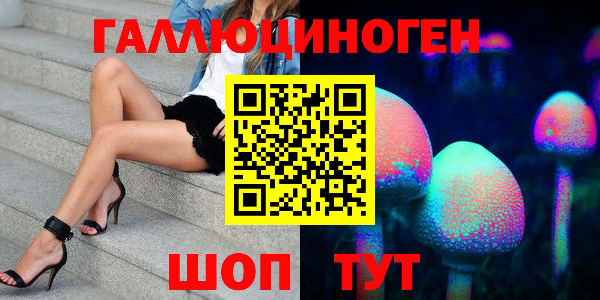 Галлюциногенные грибы Psilocybine cubensis Тобольск