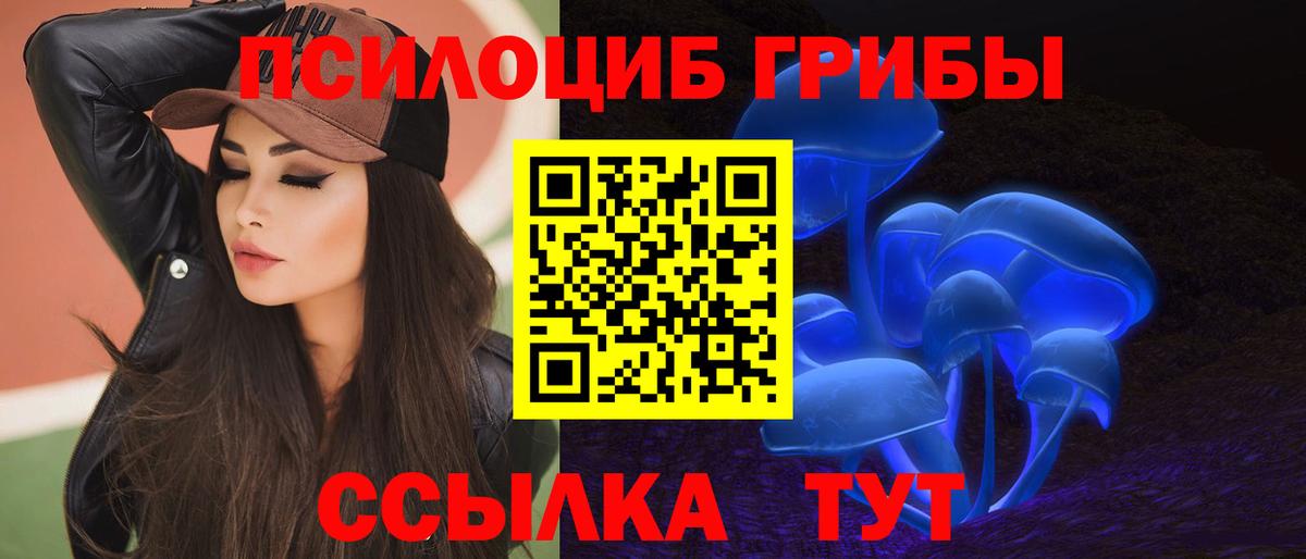 что такое наркотик  Псилоцибиновые грибы мицелий  Вход с VPN  Тобольск 